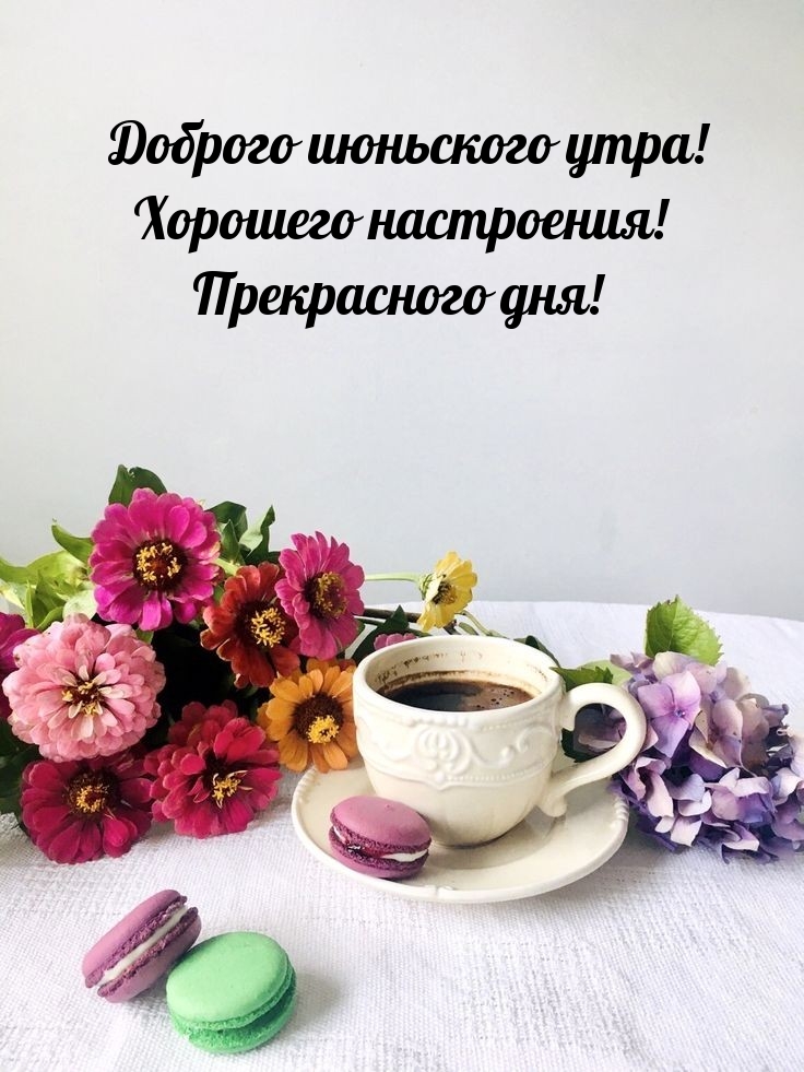 Доброго июньского утра! Хорошего настроения! Прекрасного дня!