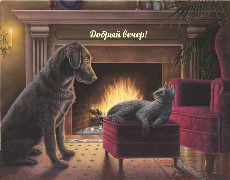 Добрый вечер!