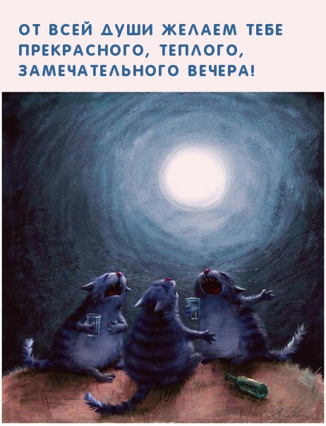 Прекрасного, теплого, замечательного вечера!