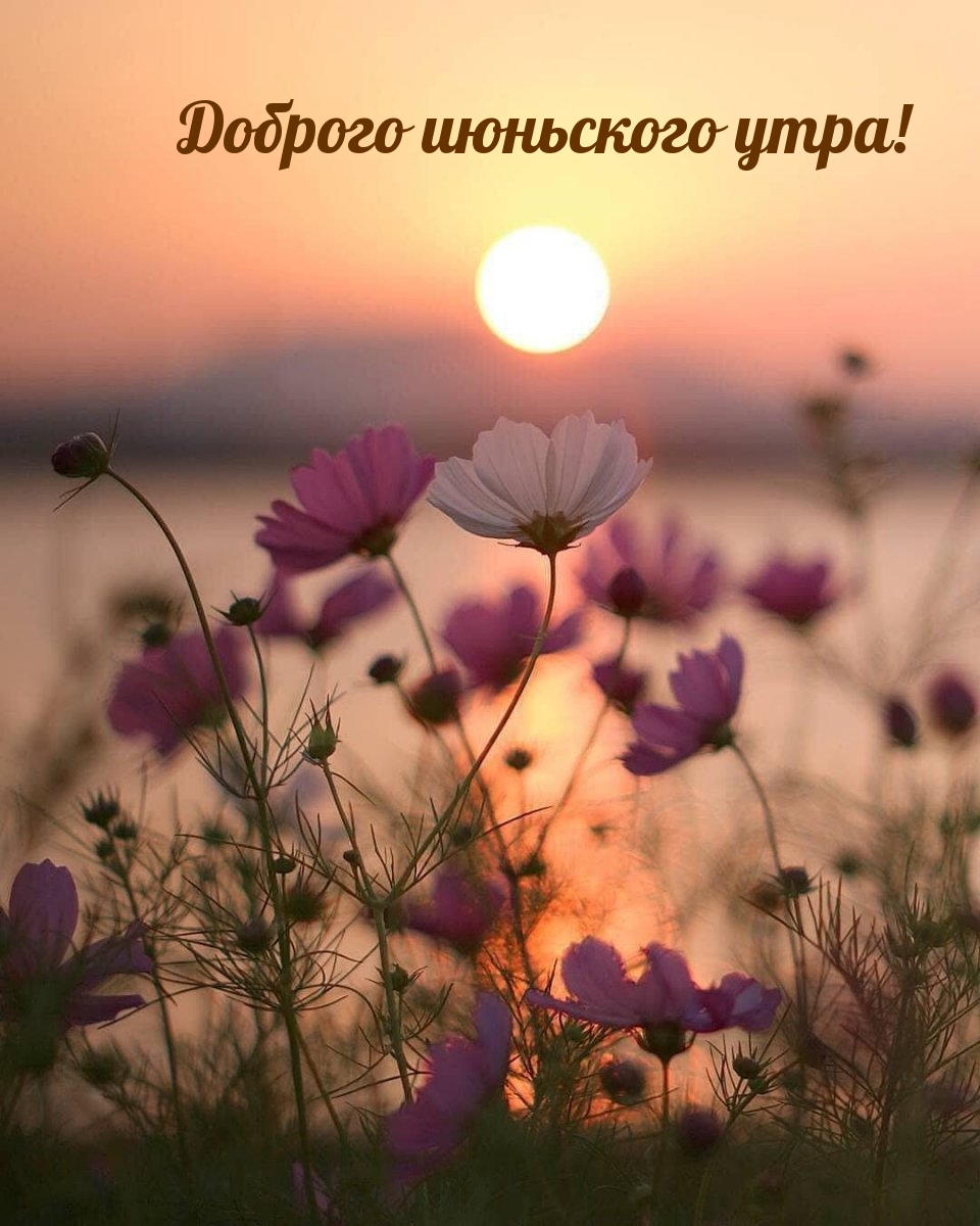 Доброго июньского утра!