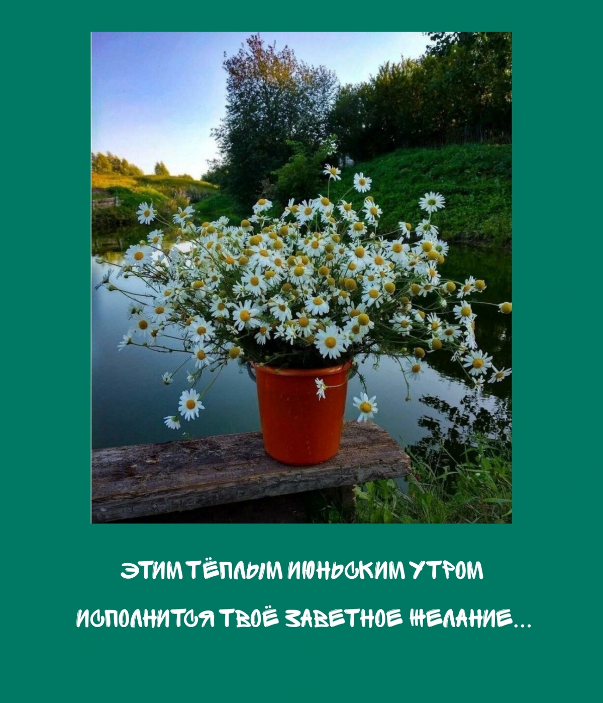Этим тёплым июньским утром исполнится твоё заветное желание…