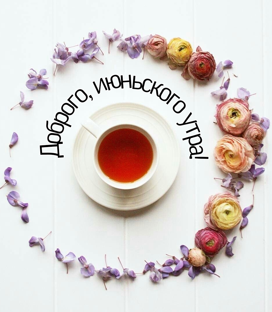 Доброго, июньского утра!