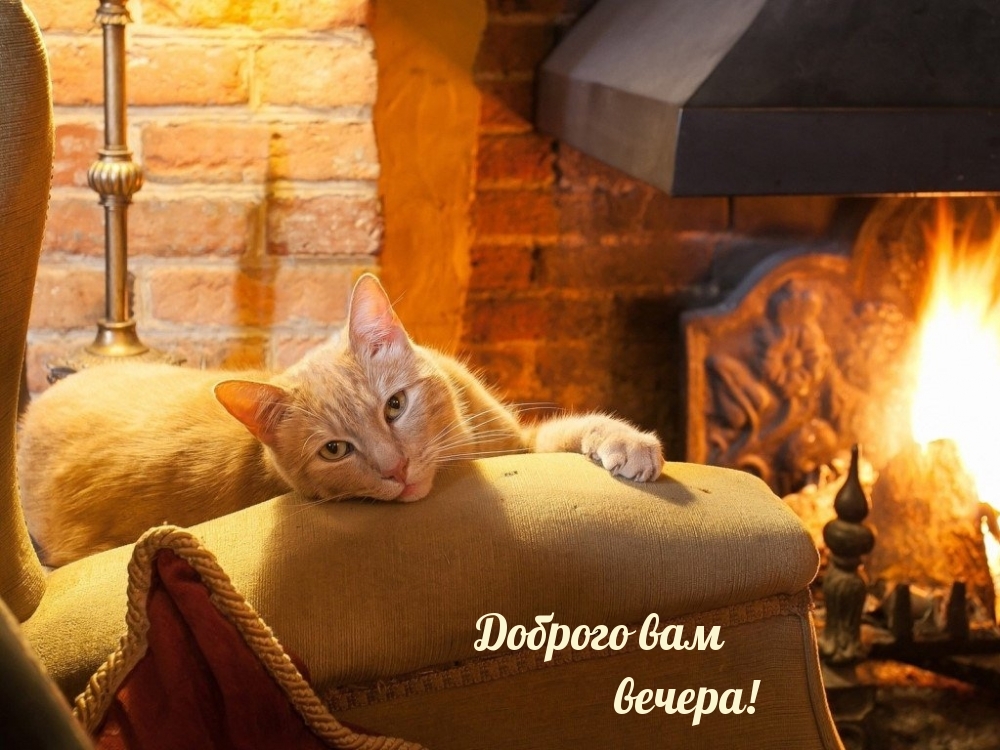 Доброго вам вечера!