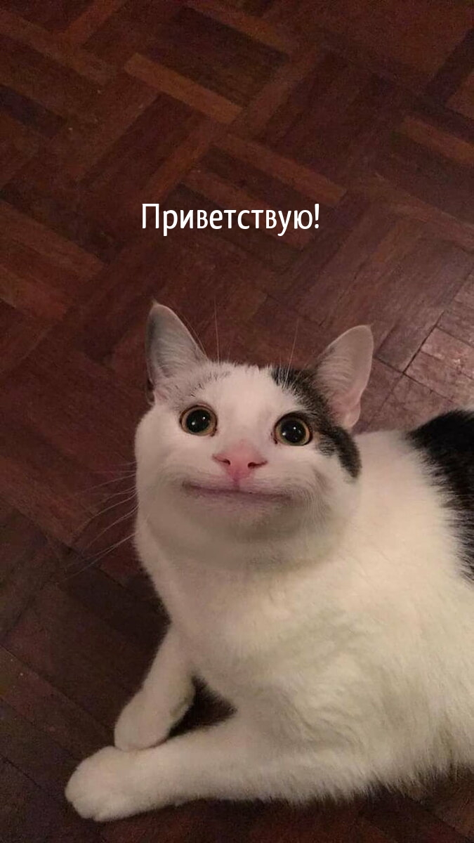 Приветствую!