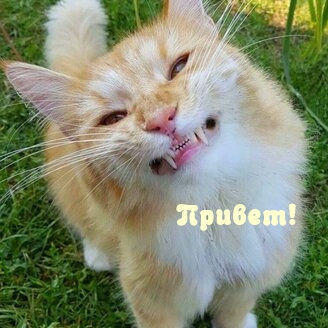 Привет!