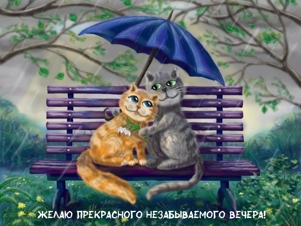 Желаю прекрасного незабываемого вечера!