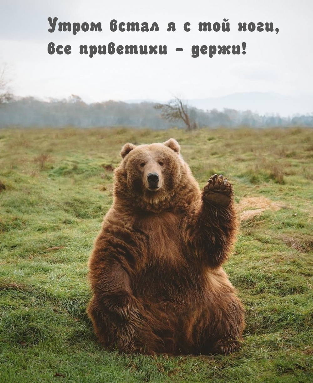 Утром встал я с той ноги, все приветики — держи!