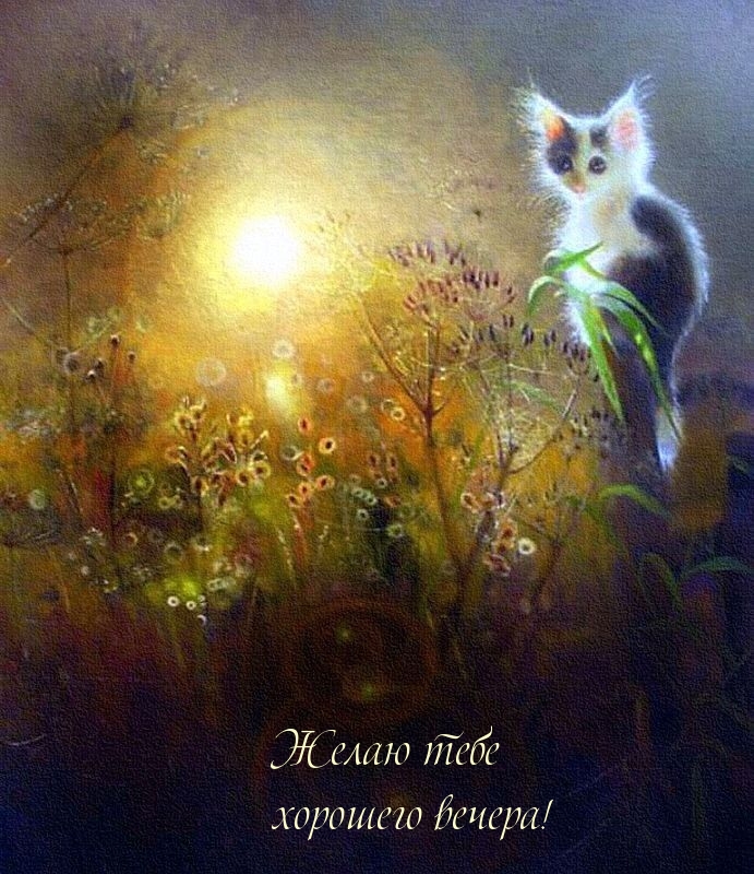 Желаю тебе хорошего вечера!