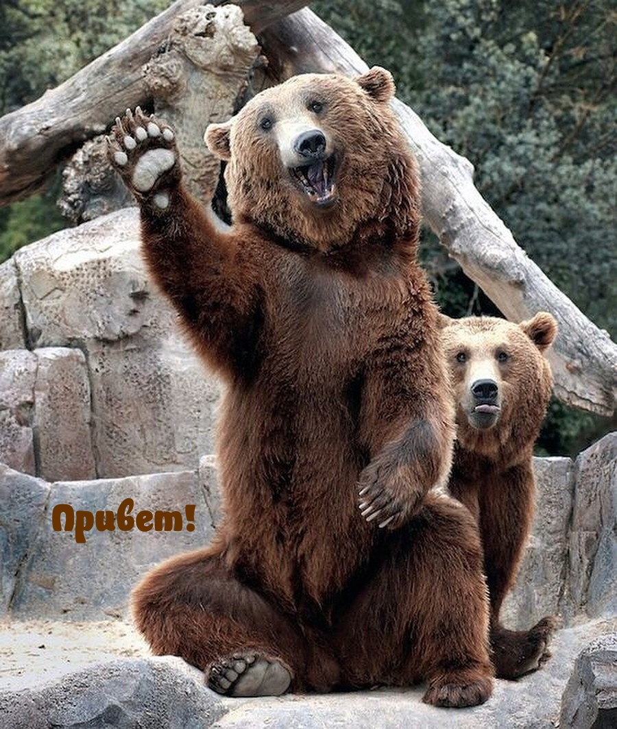 Привет!