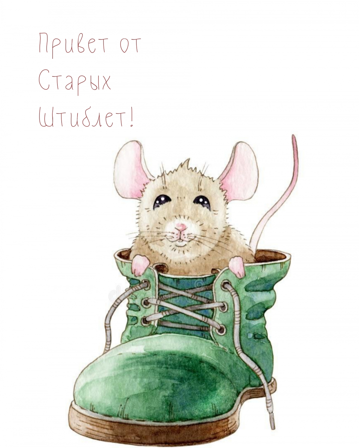 Привет от Старых Штиблет!