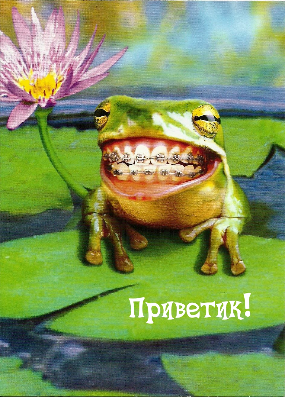 Приветик!