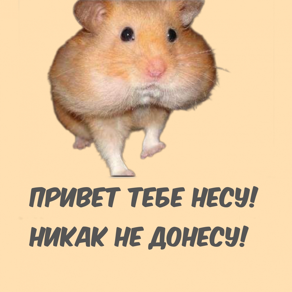 Привет тебе несу! Никак не донесу!