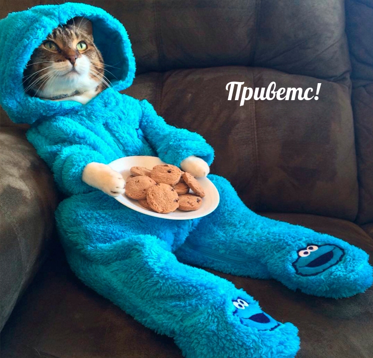 Приветс!