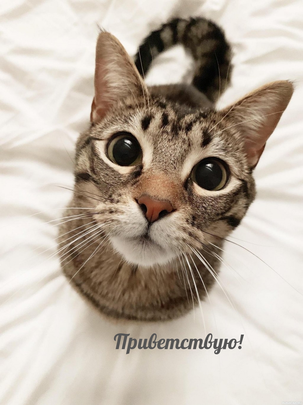 Приветствую!