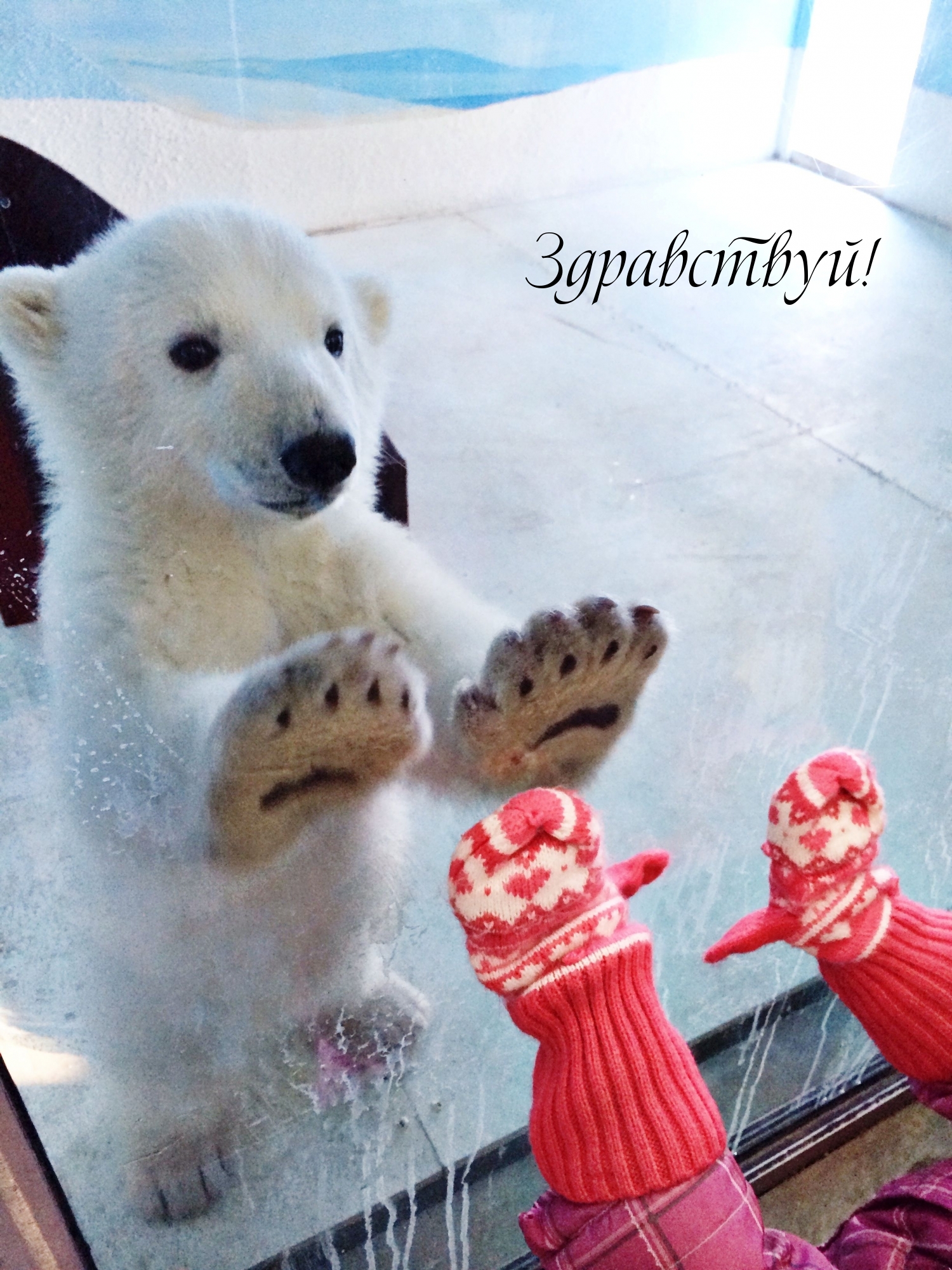 Здравствуй!