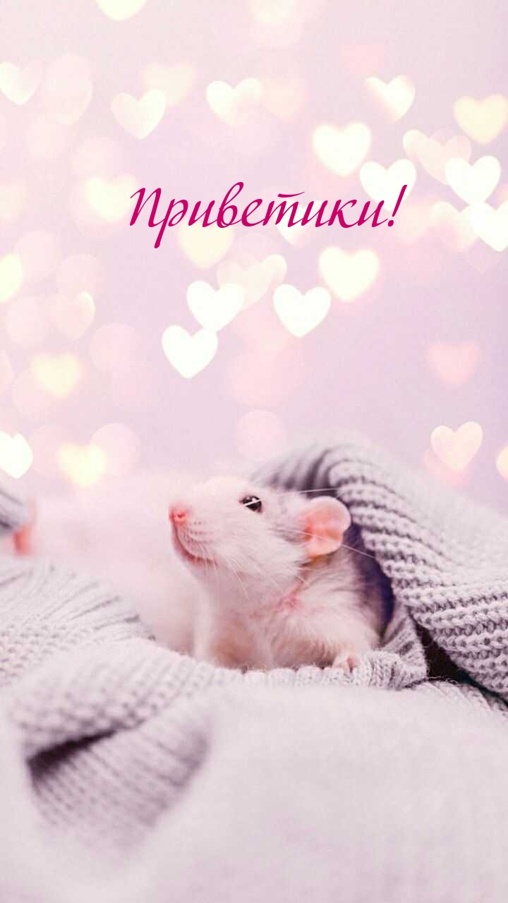 Приветики!