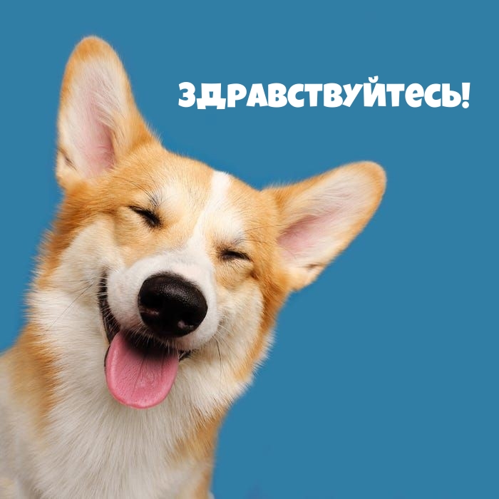 Здравствуйтесь!