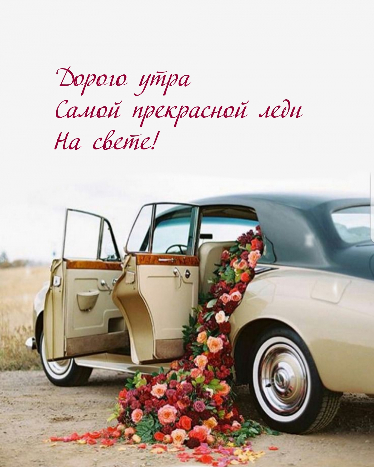 Дорого утра самой прекрасной леди на свете!