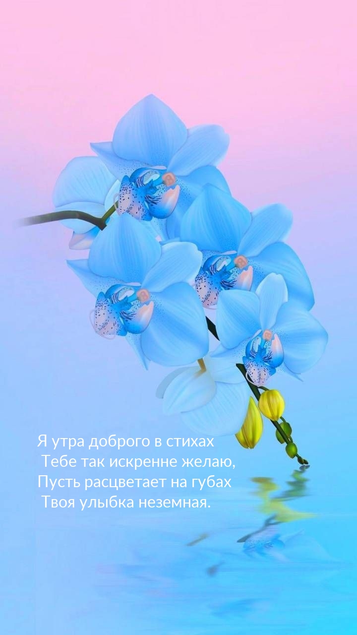 Твоя улыбка неземная. Я утра доброго в стихах так искренне желаю