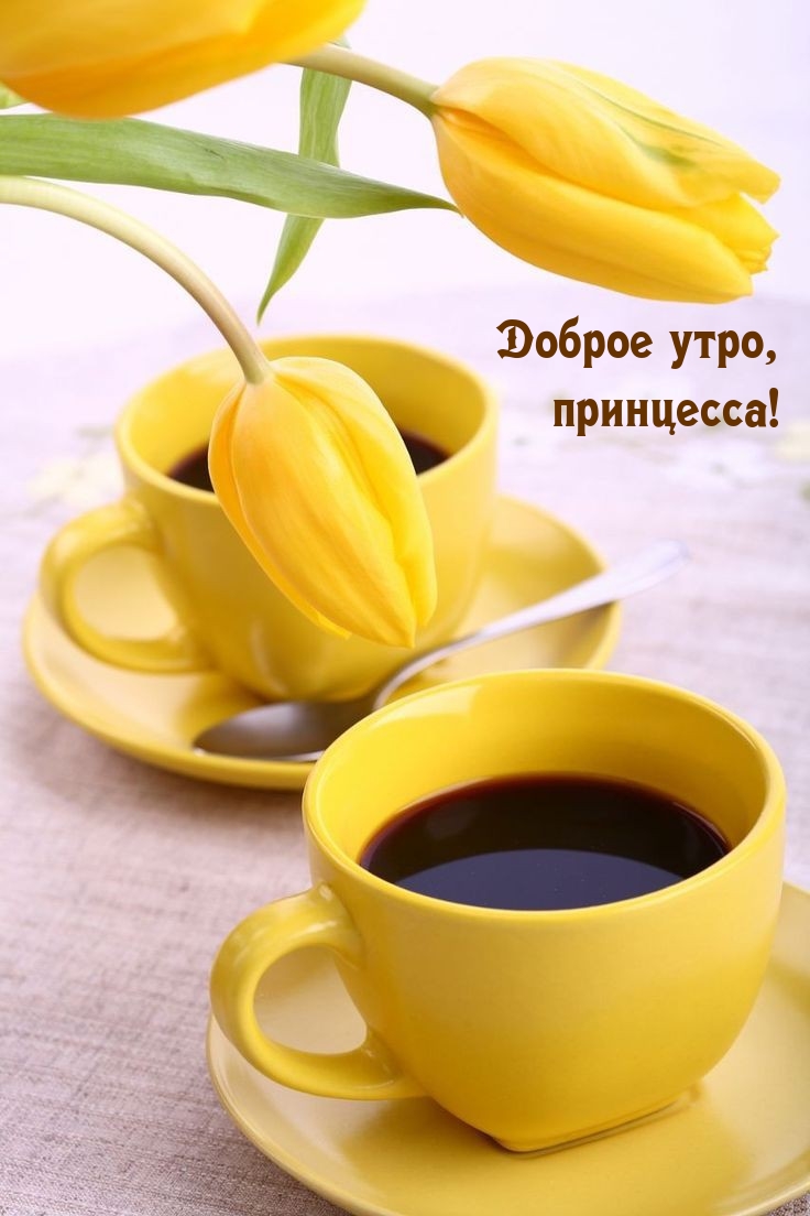 Доброе утро, принцесса!