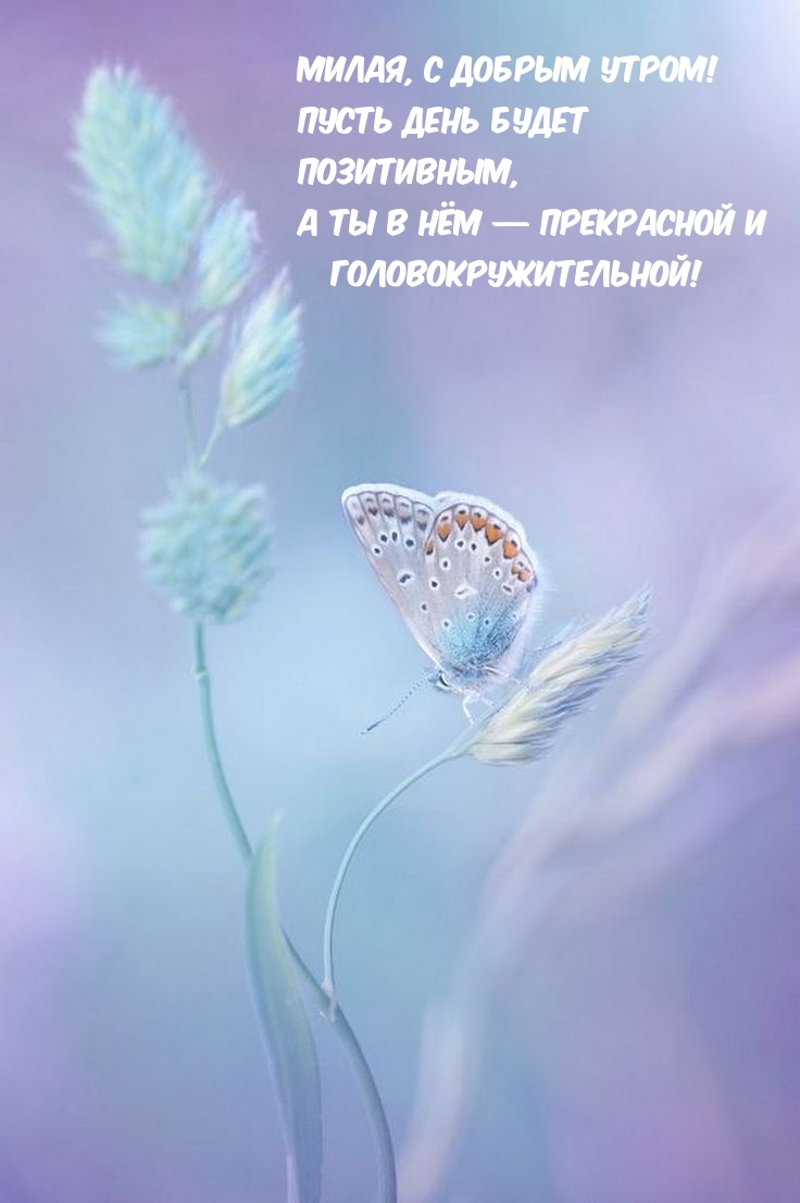 Милая, с добрым утром! Пусть день будет позитивным