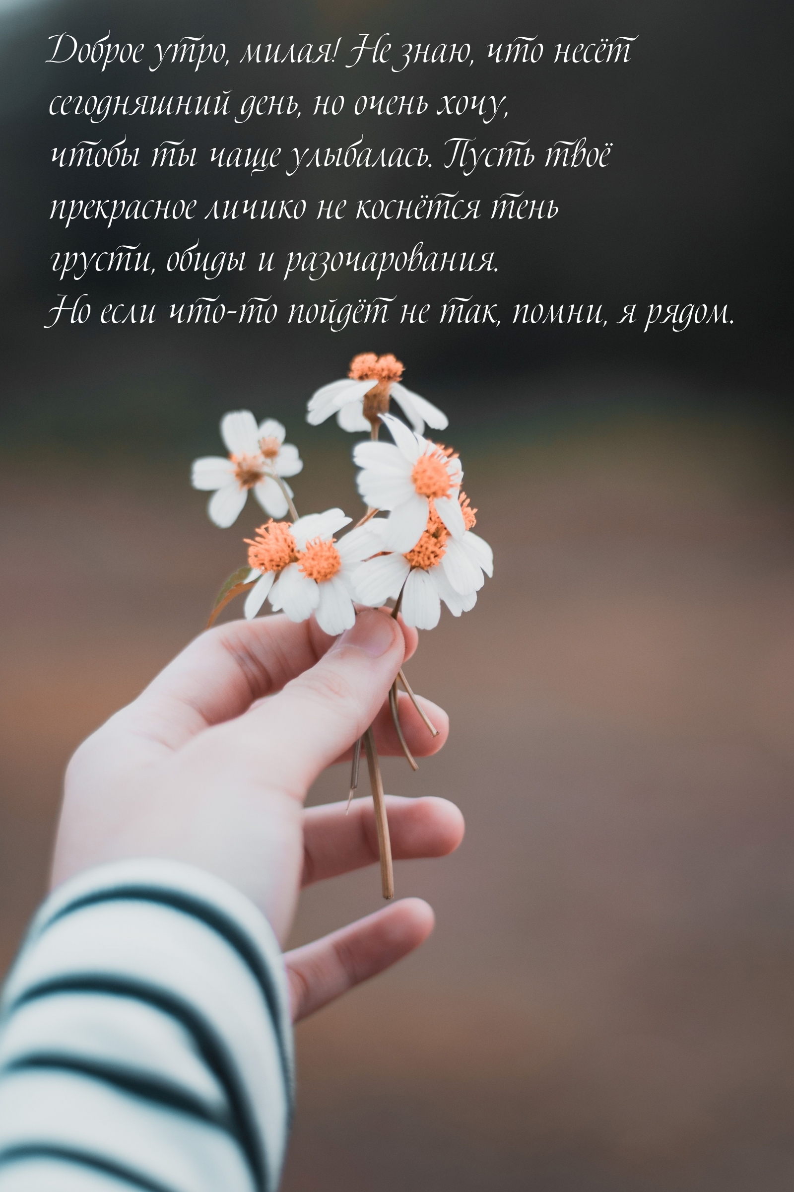Доброе утро, милая! Хочу, чтобы ты чаще улыбалась.