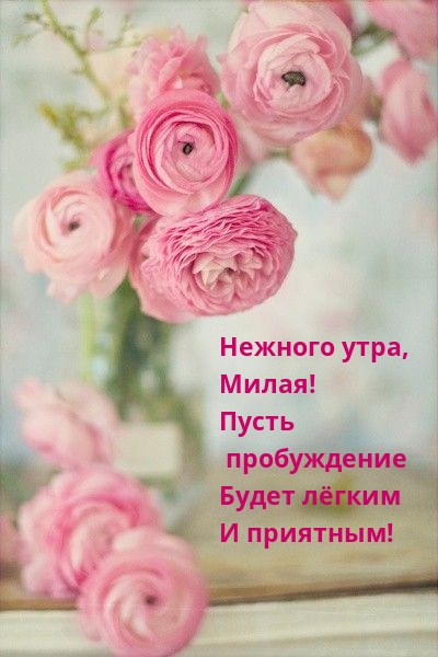 Нежного утра, Милая! Пусть пробуждение будет лёгким