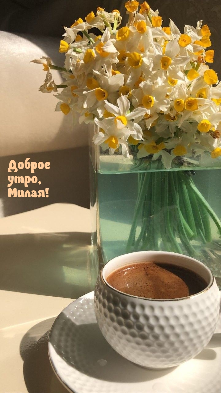 Доброе утро, Милая!
