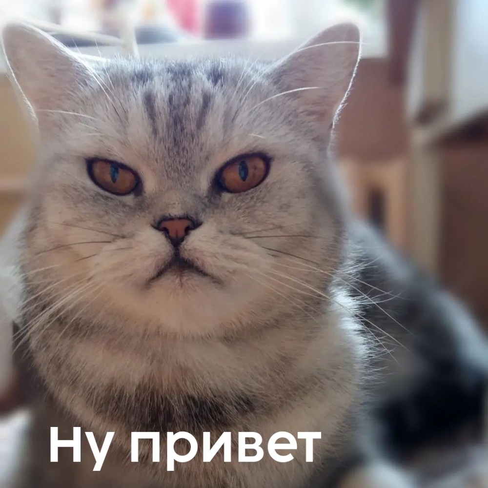 Ну привет