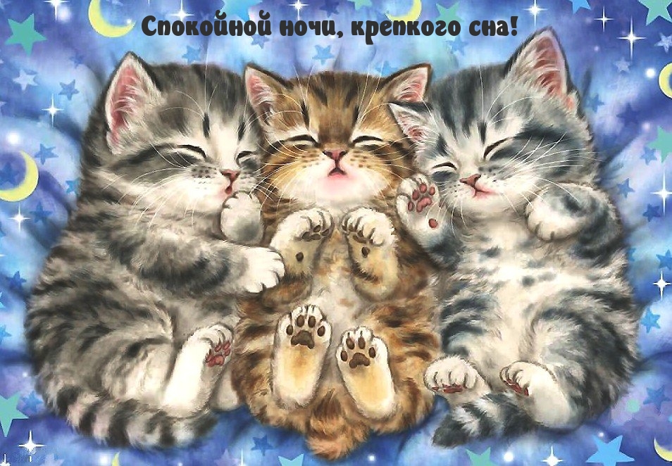 Спокойной ночи, крепкого сна!
