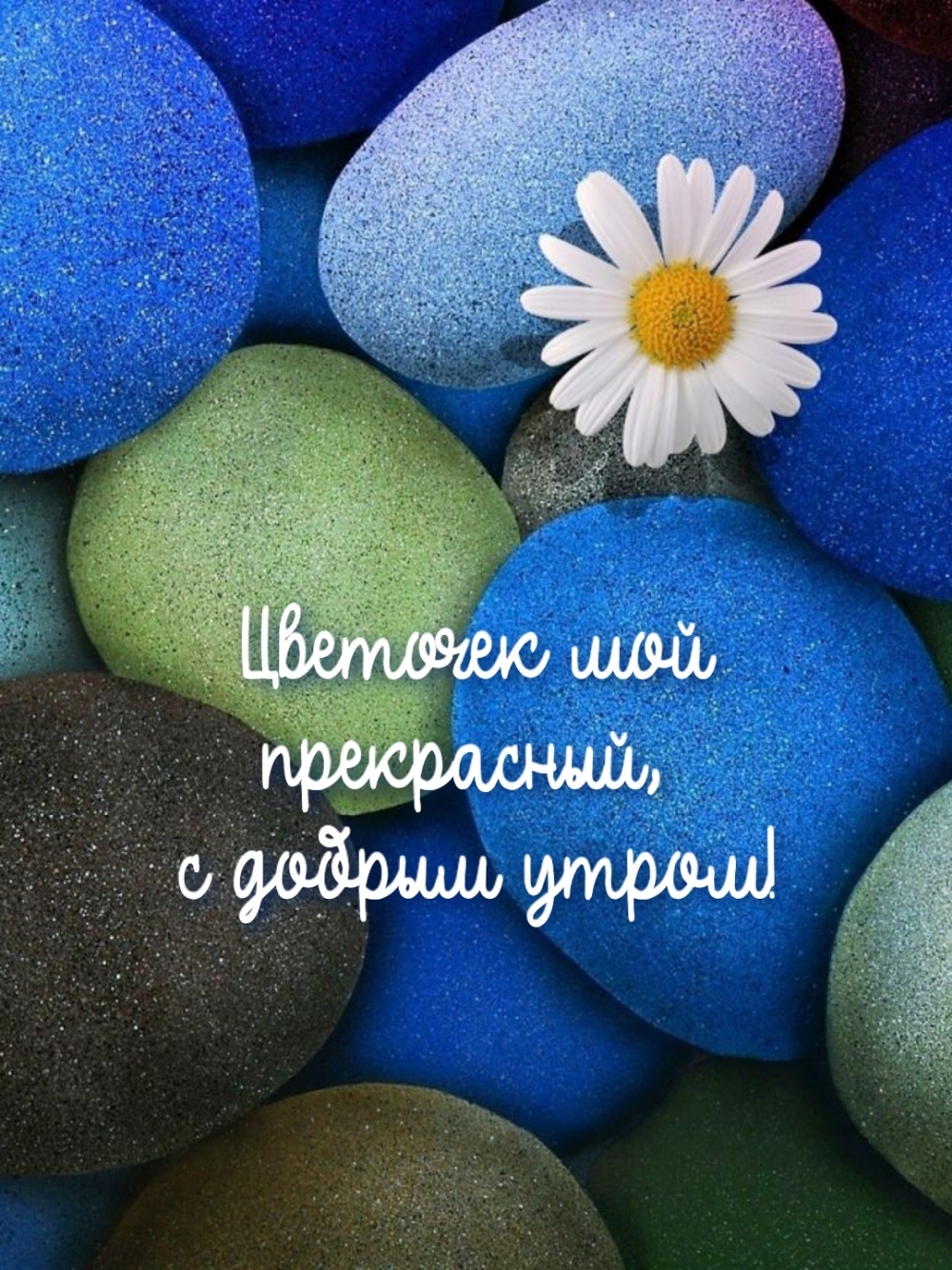 Цветочек мой прекрасный, с добрым утром!