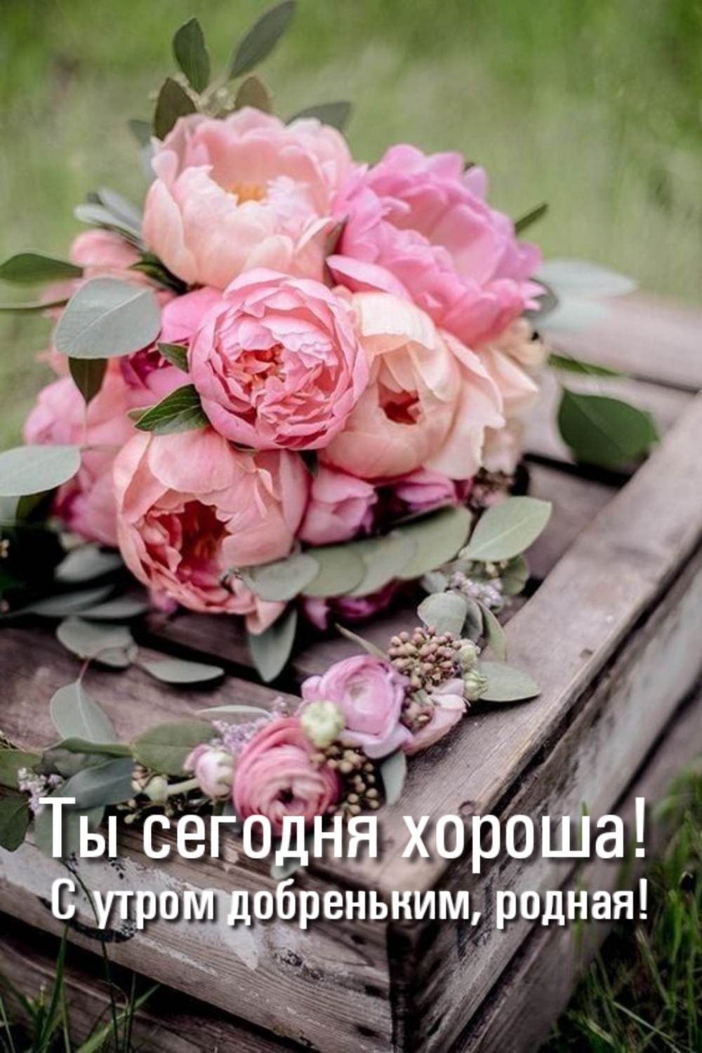 Ты сегодня хороша! С утром добреньким, родная!