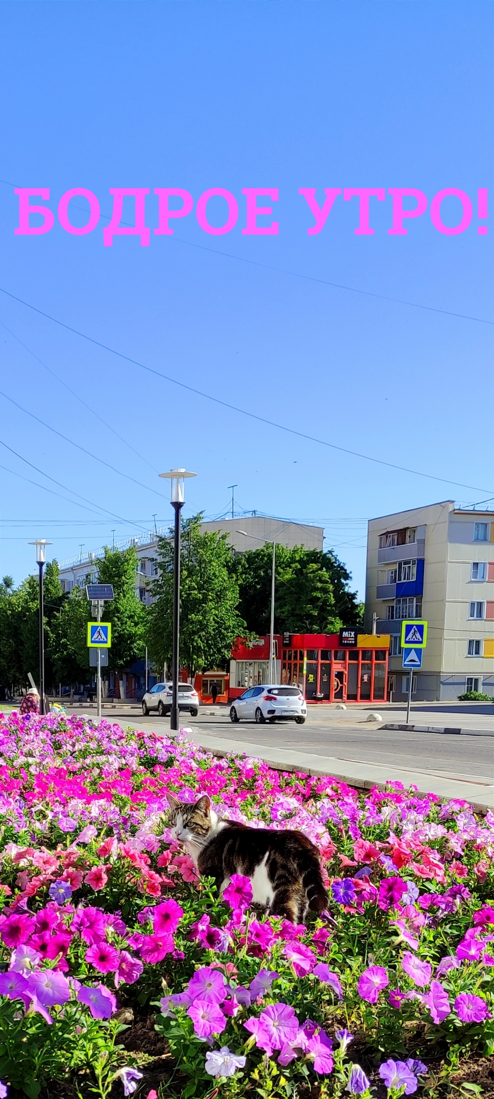 Бодрое утро!