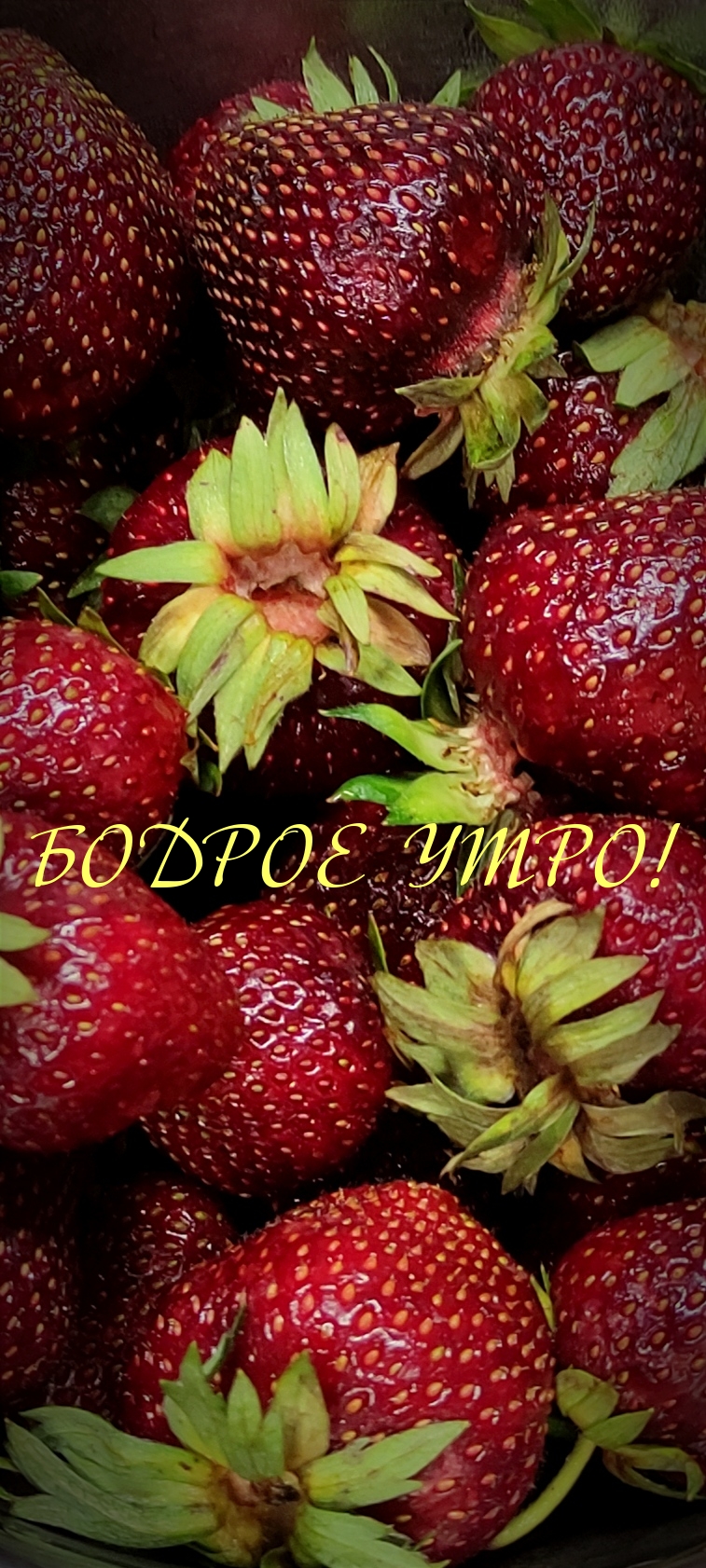 Бодрое утро!