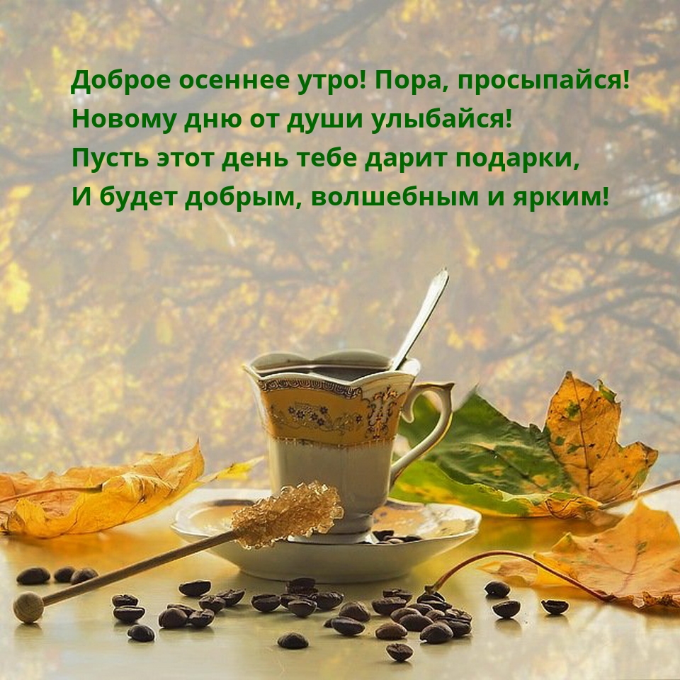 Доброе осеннее утро! Пора, просыпайся!