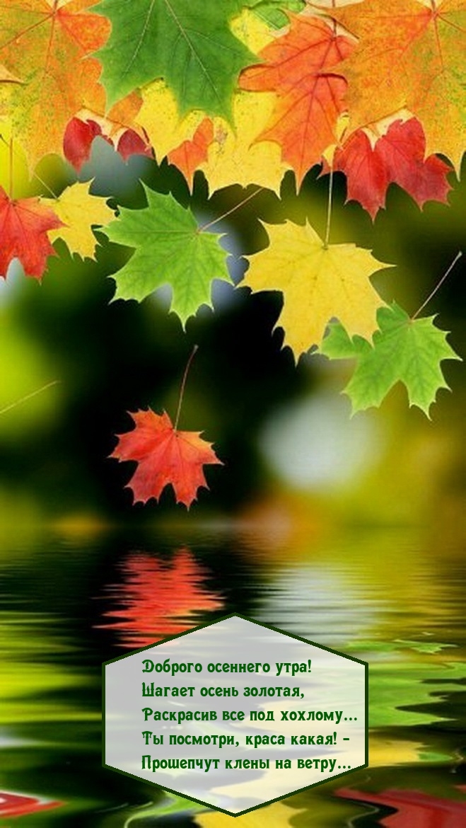 Доброго осеннего утра! Шагает осень золотая