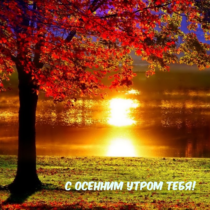 С осенним утром тебя!