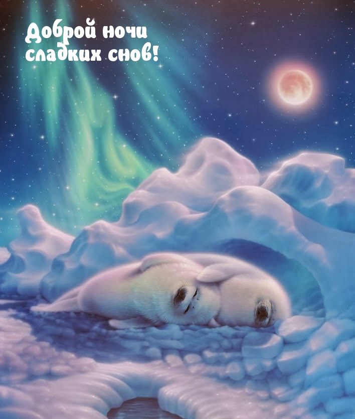 Доброй ночи сладких снов!
