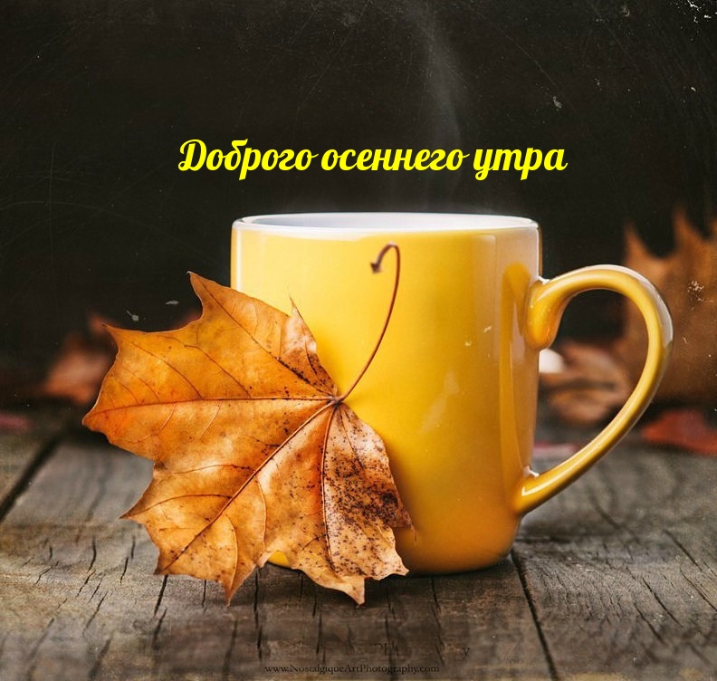 Доброго осеннего утра