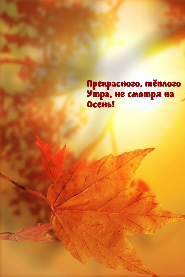 Прекрасного, тёплого утра, не смотря на Осень!