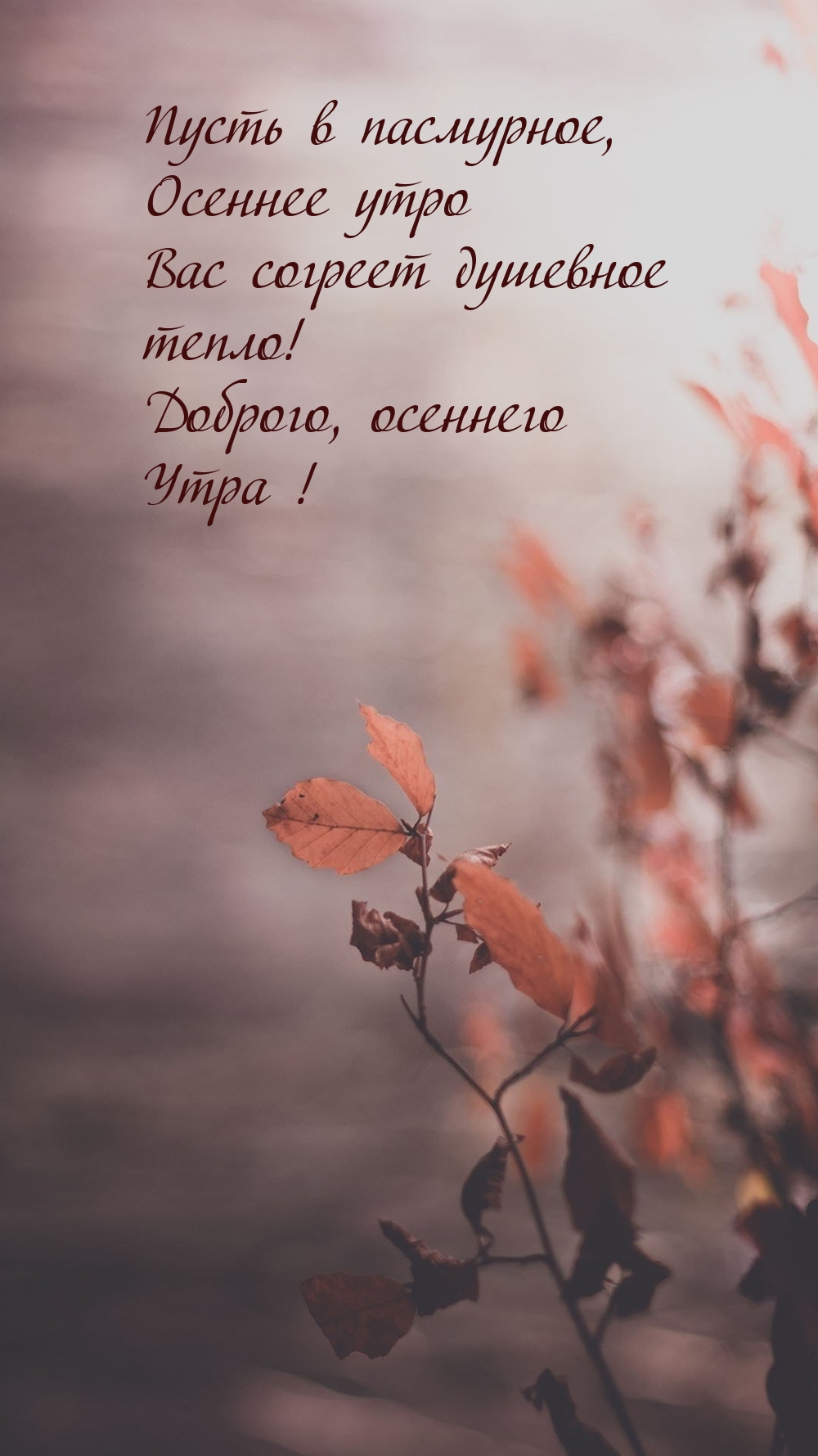 Пусть в пасмурное, осеннее утро Вас согреет душевное тепло!