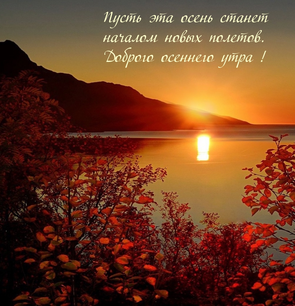Пусть осень станет началом новых полетов. Доброго осеннего утра!