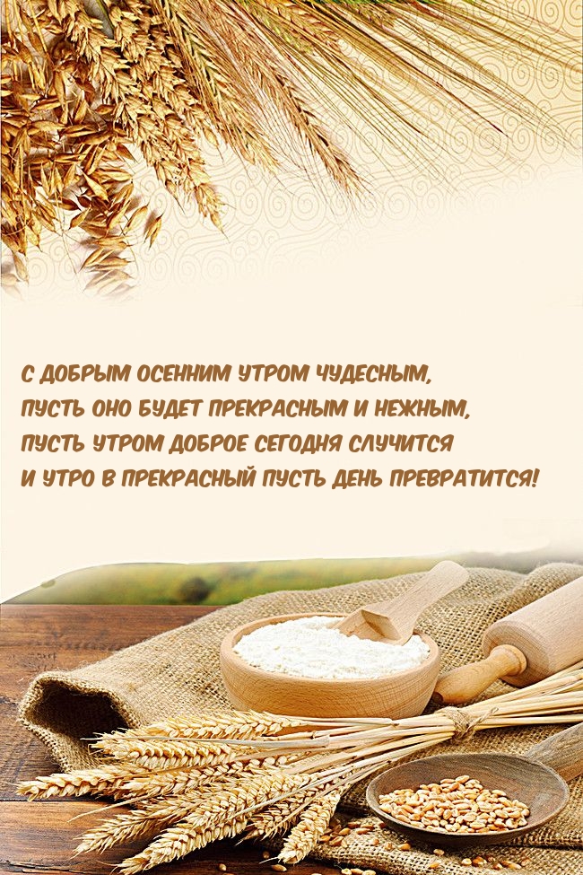 С добрым осенним утром чудесным, пусть оно будет прекрасным
