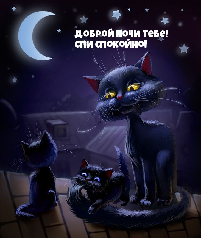 Доброй ночи тебе! Спи спокойно!