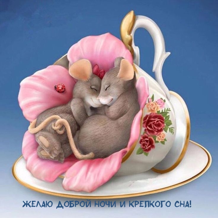 жЕЛАЮ ДОБРОЙ НОЧИ И КРЕПКОГО СНА!