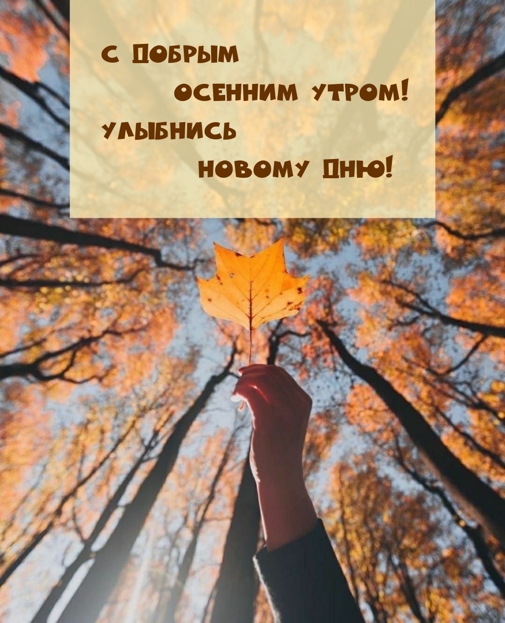 С добрым осенним утром! Улыбнись новому дню!