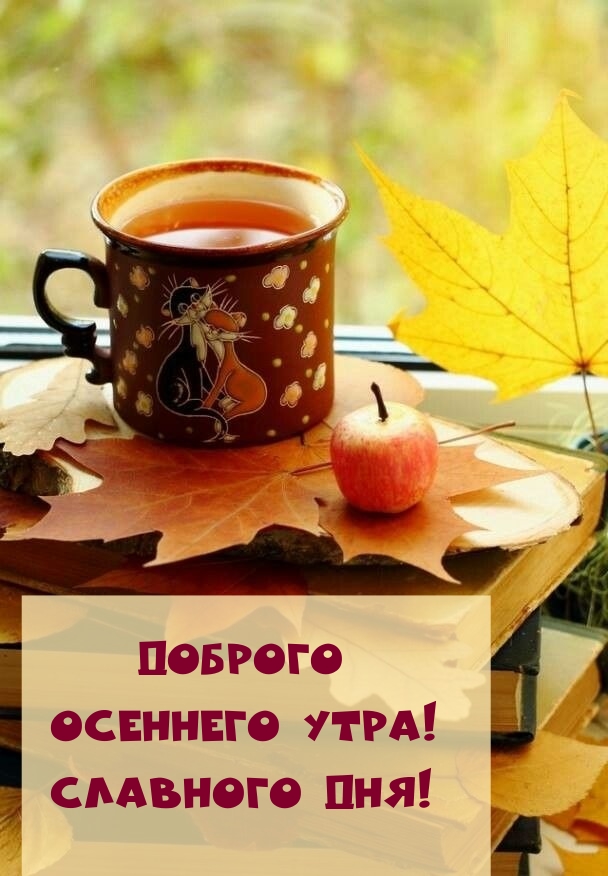 Доброго осеннего утра! Славного дня!