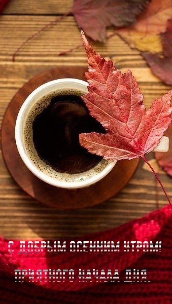 С добрым осенним утром! Приятного начала дня.