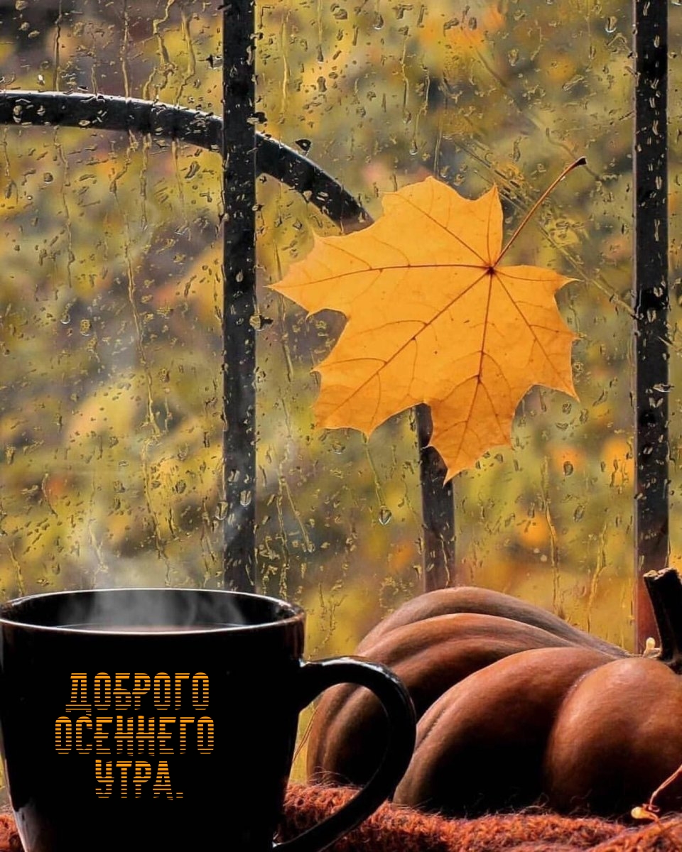 Доброго осеннего утра.