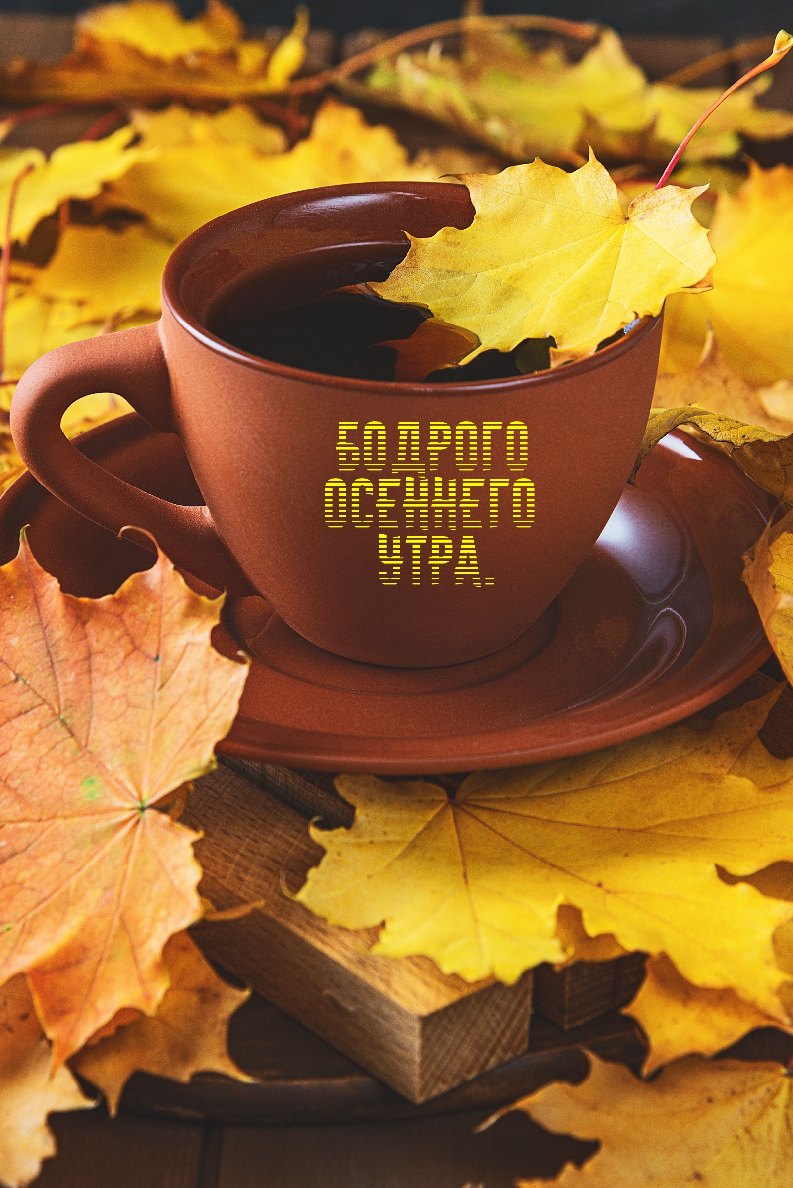 Бодрого осеннего утра.